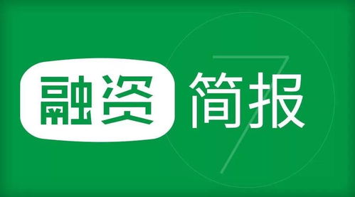 科技行業(yè)動(dòng)態(tài) 并購(gòu)與估值引領(lǐng)網(wǎng)絡(luò)科技研發(fā)新浪潮